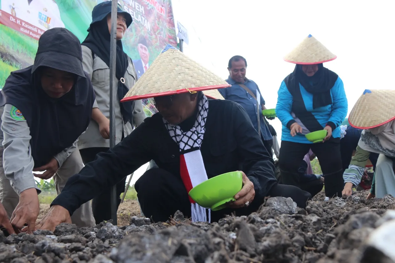 Bupati Ardiansyah Turut Tanam Bawang di Poktan Adem Ayem