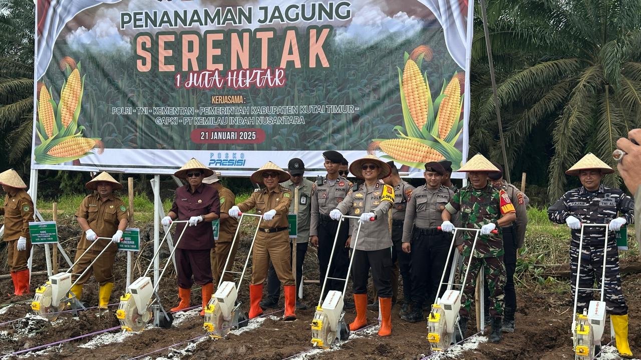 Implementasi Program  Asta Cita Presiden  Prabowo Subianto, Bupati Kutim Ardiansyah Sulaiman dan Forkopimda Tanam Jagung Serentak di Desa Muara Bengalon