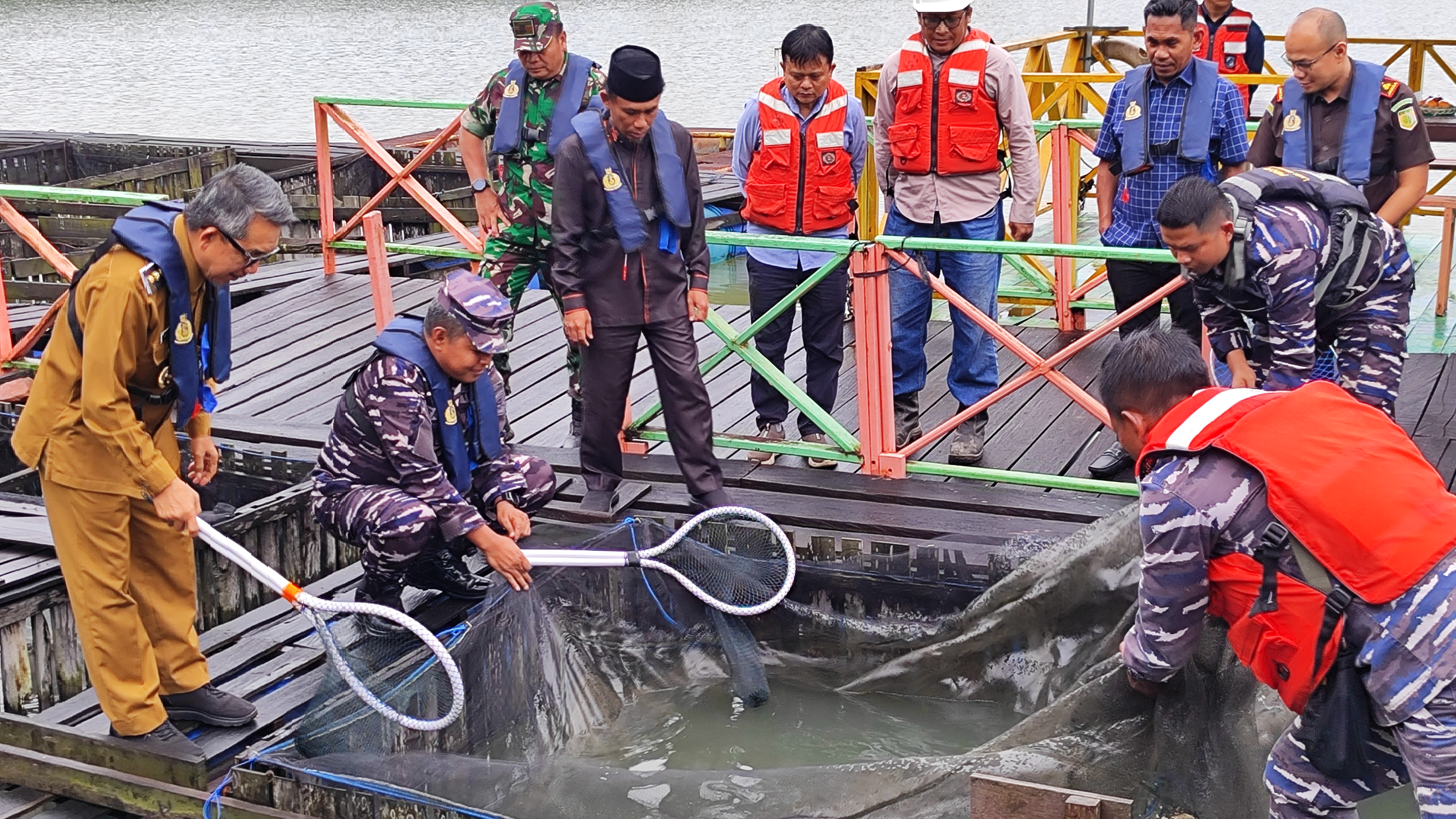 Panen Perdana Ikan Tawar Lele di Telaga Batu Arang, Bupati Ardiansyah Apresiasi Program Kolaborasi KPC dan Lanal Sangatta