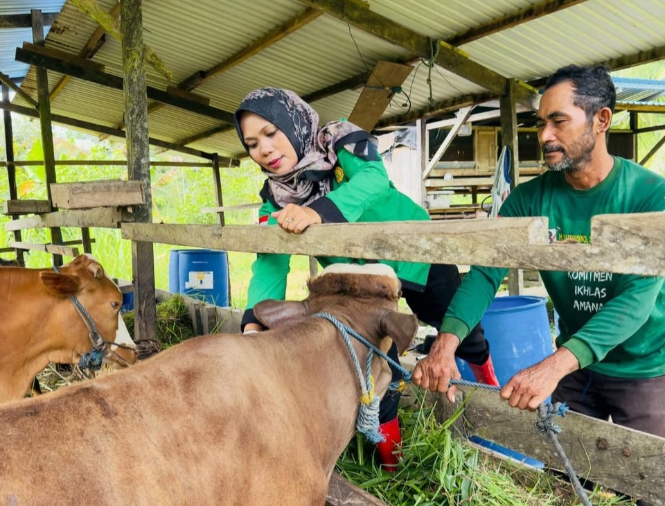 Tingkatkan Populasi Ternak untuk Dukung Ketahanan Pangan Daerah
