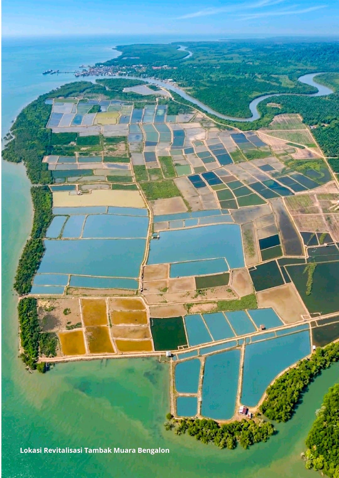 Optimalkan Tambak Pesisir, Diskan Kutim Usung Program Green Aquaculture