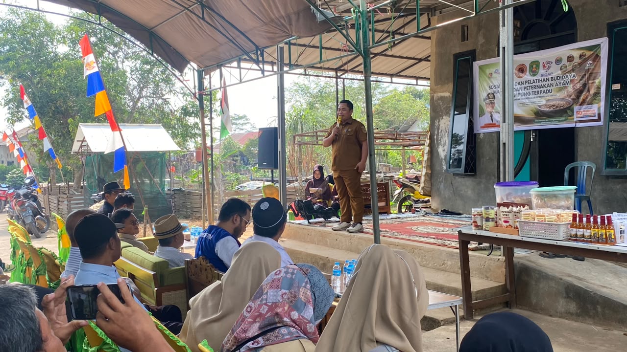 Budidaya Maggot Dikembangkan Bersama Ayam Kampung untuk Perkuat Pangan Kutim