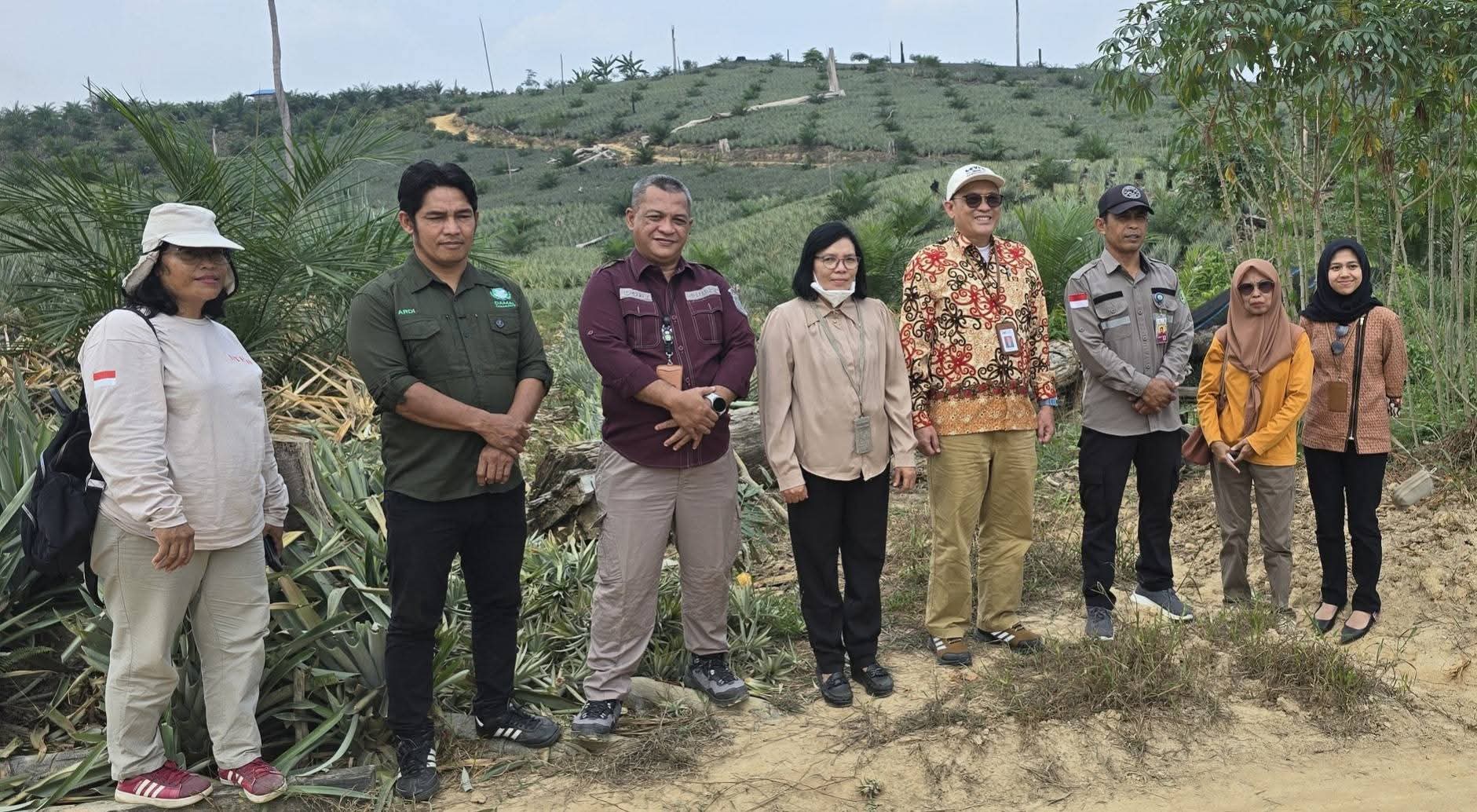 OJK Lirik Nanas Himba Lestari, Disperindag Siapkan Kajian Hilirisas